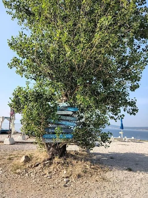 Apartment Ferienwohnung Nena In Crikvenica