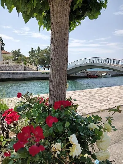 Ferienwohnung Nena In Crikvenica 0*,